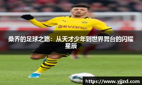 桑乔的足球之路：从天才少年到世界舞台的闪耀星辰